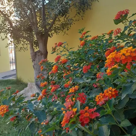 A In Zona Residenziale Appartement *